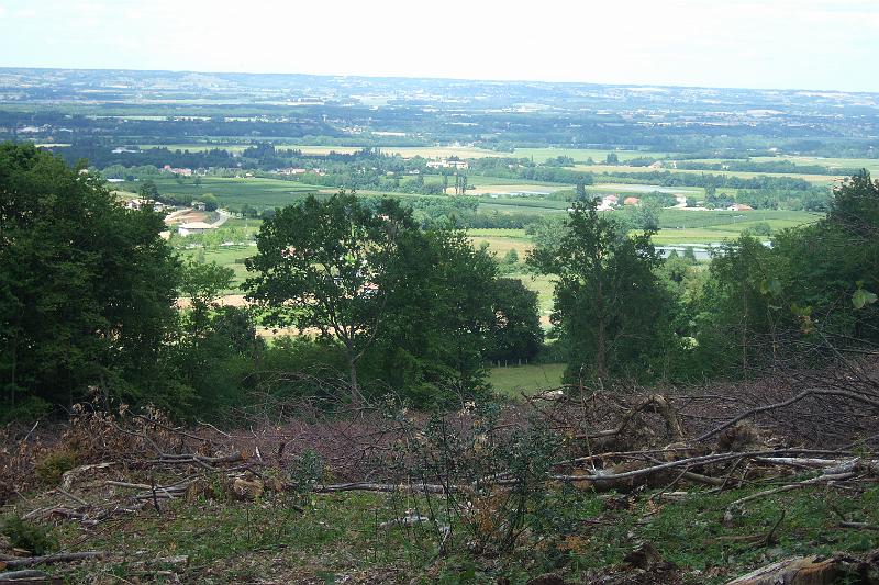 2011-05- (770).JPG